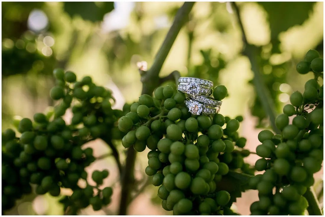 Sweet Cheeks Winery wedding by Photography by Lynn Marie