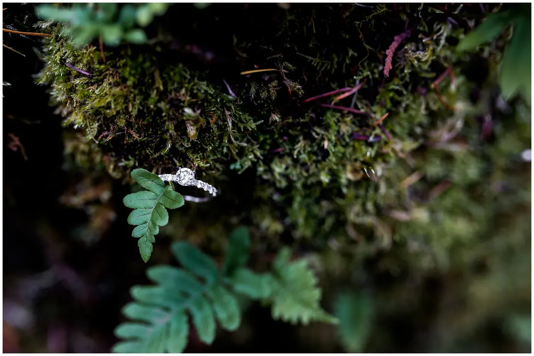 Engagement photos along the McKenzie River in Oregon