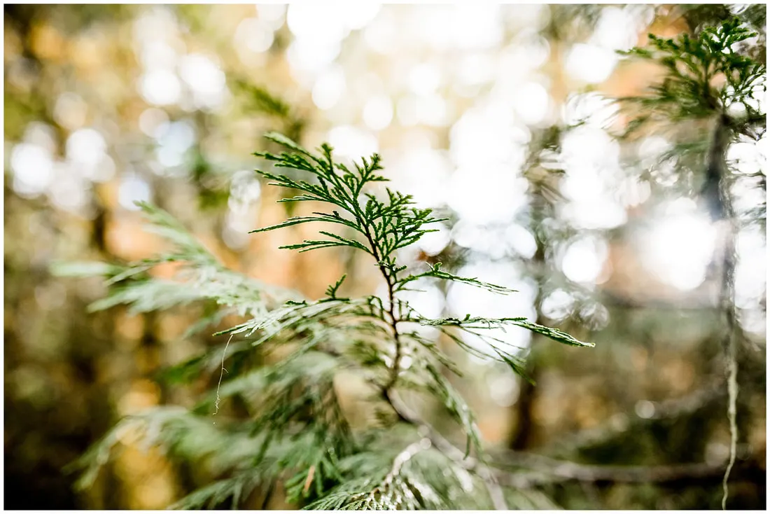 Oregon engagement photos in Bend, Oregon