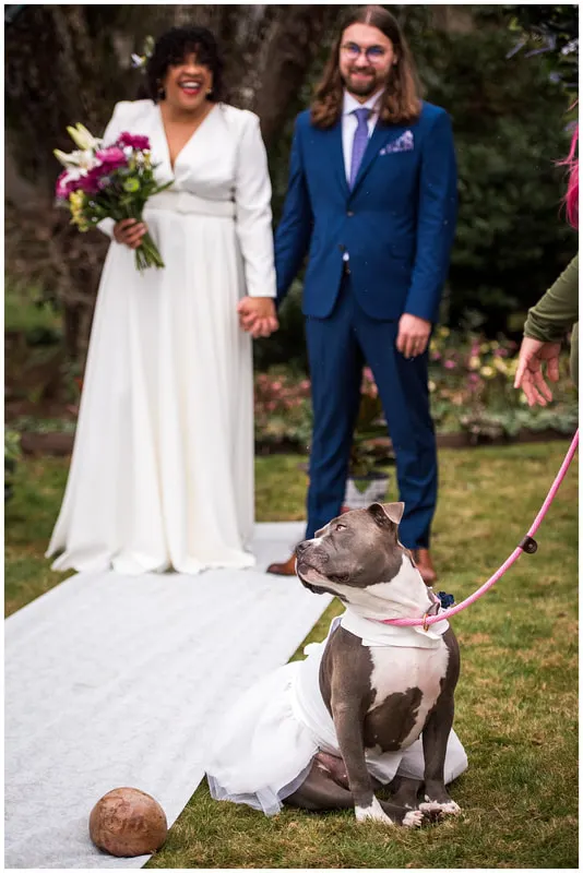 Wedding and elopement photography in Eugene, Oregon