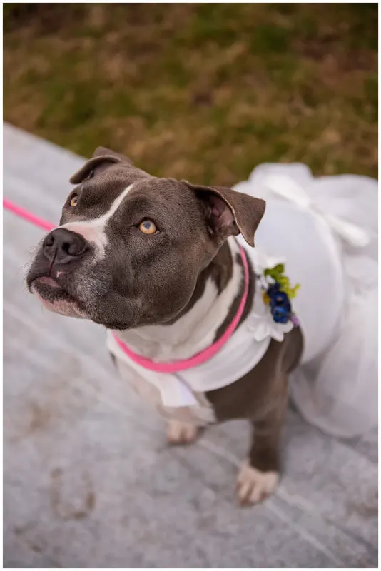 Wedding and elopement photographer in Eugene, Oregon