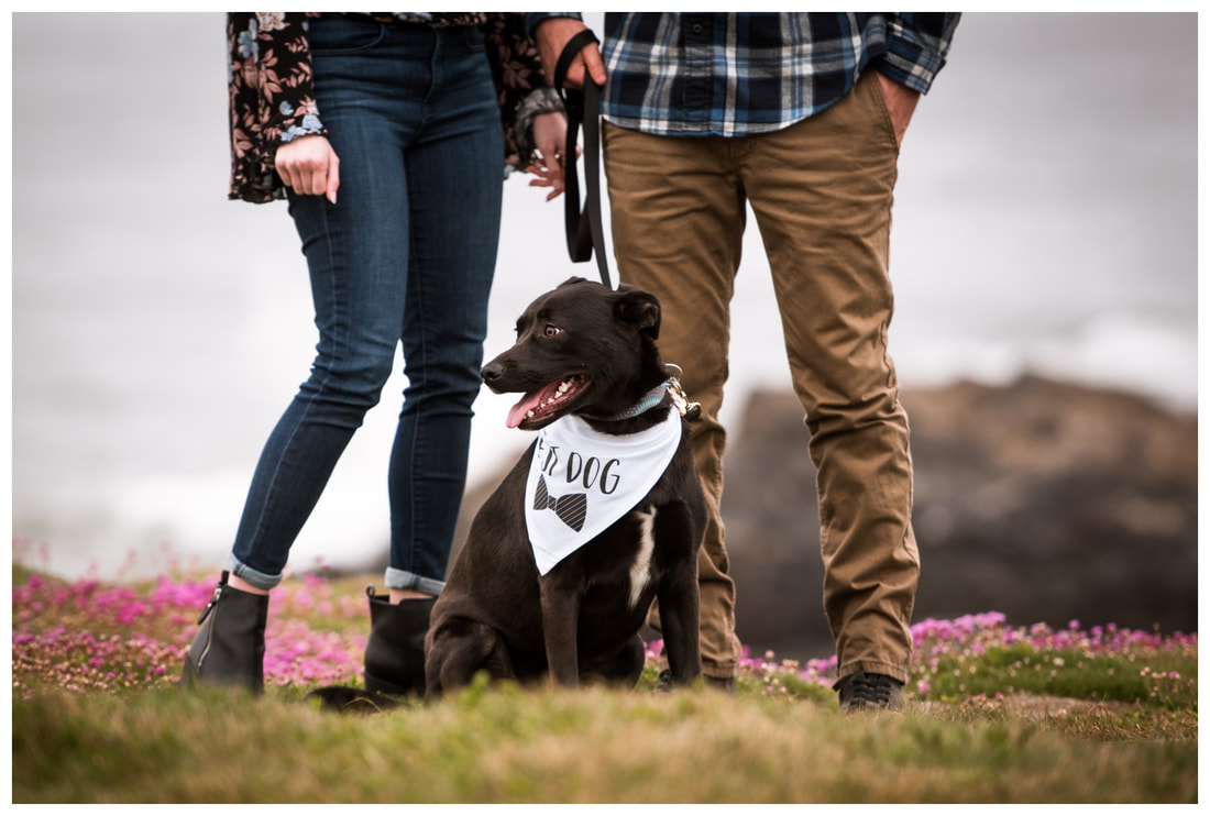 Oregon coast engagement session in Yachats with a dog